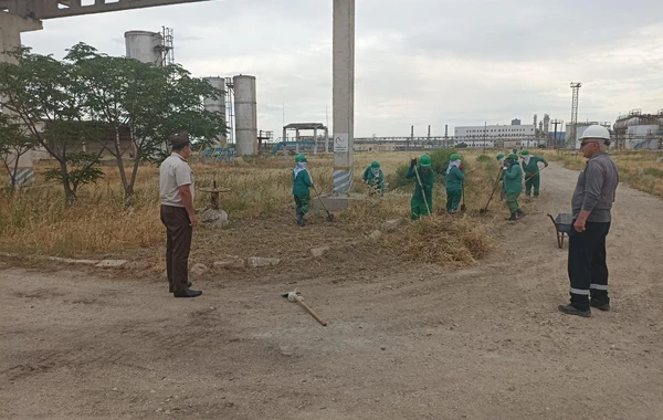 Bakıda quru ot, kol-kos və məişət tullantıları yığılan sahələr təmizlənib - FOTO/VİDEO