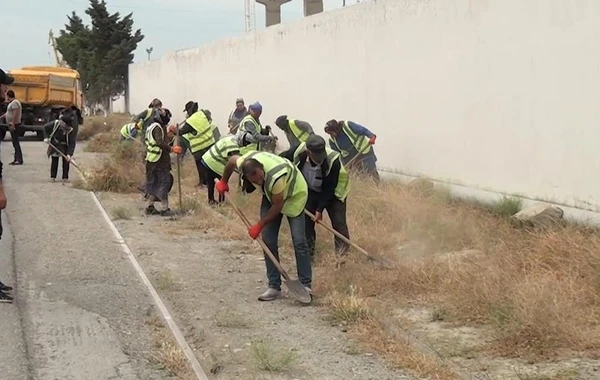 Bakıda quru ot, kol-kos və məişət tullantıları yığılan sahələr təmizlənib - FOTO/VİDEO