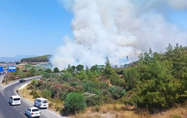 Türkiyədə meşə yanğını hava limanına çatdı - FOTO