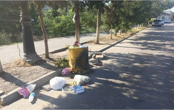 Hacıqabul və Ucarda ətraf mühiti zibilləyən şəxslər barəsində tədbirlər görülüb - FOTO