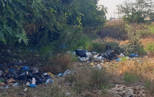 Ətraf mühiti zibilləyən şəxslər barəsində tədbirlər görülüb - FOTO