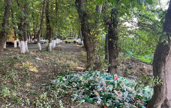 Ətraf mühiti zibilləyən şəxslər barəsində tədbirlər görülüb - FOTO