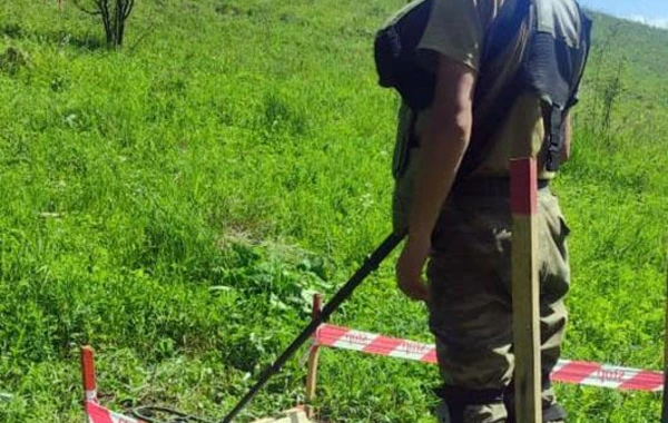 В Минобороны назвали количество мин, обнаруженных на освобожденных территориях - ФОТО
