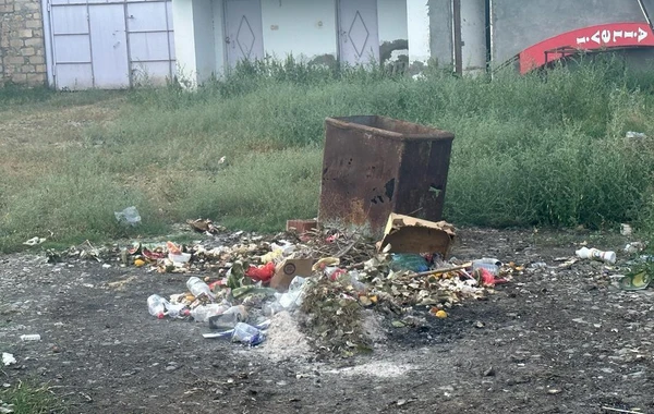 Azərbaycanda vəzifəli şəxs CƏZALANDIRILDI - FOTO