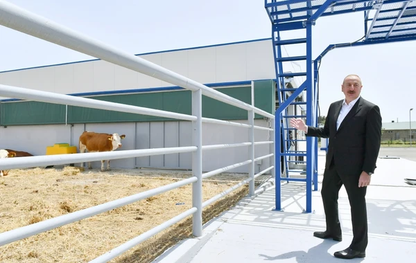 Prezident İlham Əliyev Cəlilabad Dövlət Peşə Təhsil Mərkəzinin açılışında iştirak edib - FOTO - YENİLƏNİB