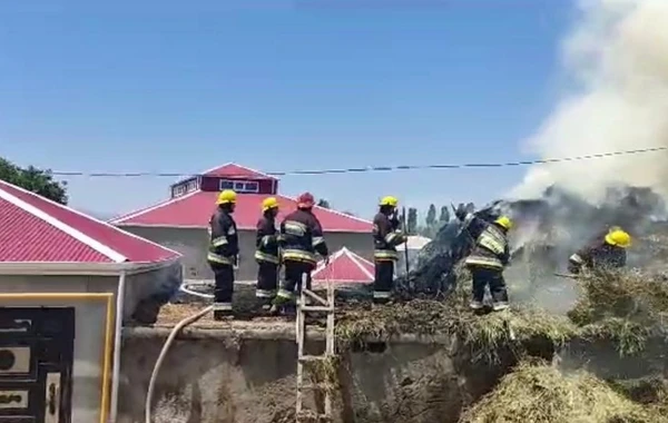 Şərurda həyətyanı sahədə yanğın olub - FOTO/VİDEO
