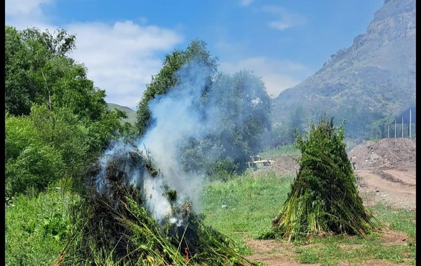 DİN və DTX Laçında birgə əməliyyat keçirdi - FOTO