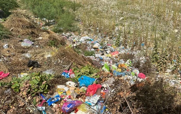 Azərbaycanda bələdiyyə sədrləri və sahibkar inzibati məsuliyyətə cəlb edildi - FOTO