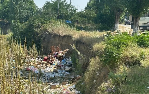 Azərbaycanda bələdiyyə sədrləri və sahibkar inzibati məsuliyyətə cəlb edildi - FOTO