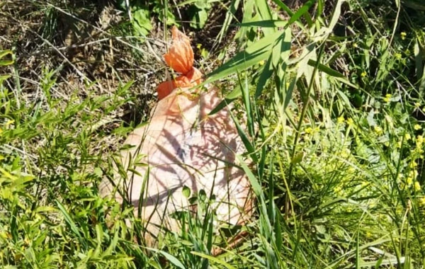 İrandan Azərbaycana narkotik keçirilməsinin qarşısı alınıb - FOTO