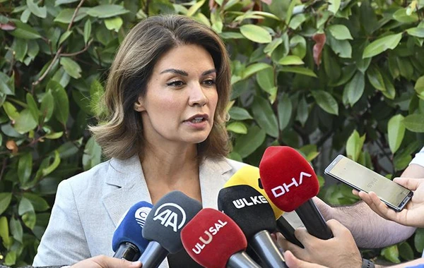 Türkiyədə yaşayan Azərbaycan vətəndaşlarına hüquqi yardım göstəriləcək - FOTO