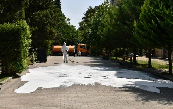 Paytaxt parklarında təmizlik-dezinfeksiya tədbirləri görülüb - FOTO