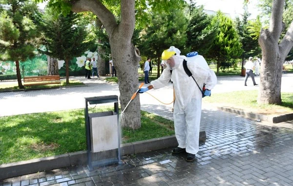 Paytaxt parklarında təmizlik-dezinfeksiya tədbirləri görülüb - FOTO
