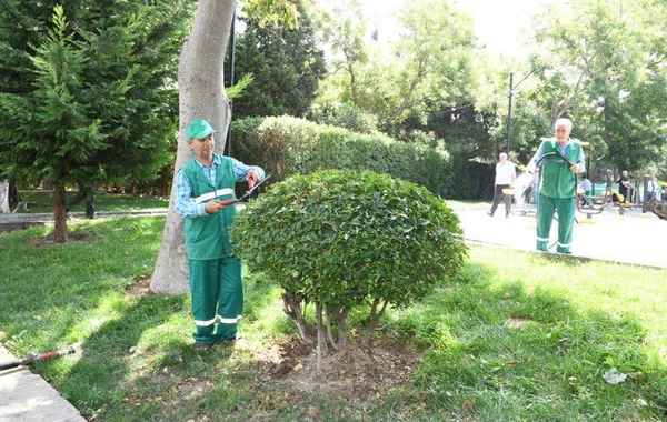 Paytaxt parklarında təmizlik-dezinfeksiya tədbirləri görülüb - FOTO
