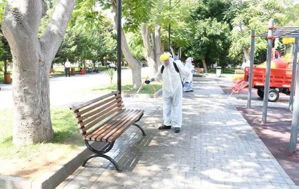 Paytaxt parklarında təmizlik-dezinfeksiya tədbirləri görülüb - FOTO