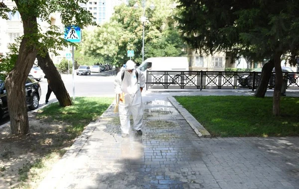 Paytaxt parklarında təmizlik-dezinfeksiya tədbirləri görülüb - FOTO