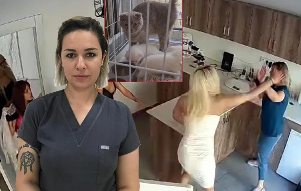 Pişiyi ölən qadın 4 rəfiqəsi ilə birgə klinikaya hücum edib baytarı döydü - FOTO