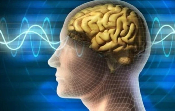Dərin narkoz zamanı beyin hələ də məlumatı emal edə bilir