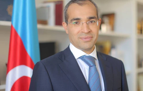 Nazir: “Fərdi sahibkar Yevlax Pilot Aqroparkın rezidenti olub” - FOTO