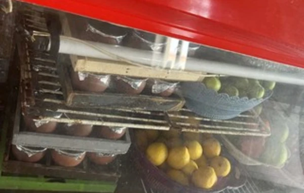 AQTA bu kafedə nöqsanlar aşkarladı - FOTO