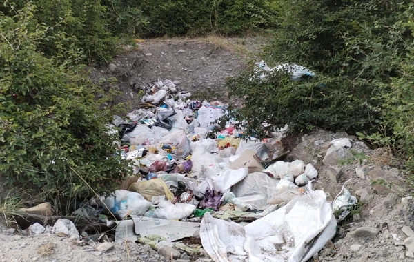 Azərbaycanda bələdiyyə sədri cəzalandırıldı - FOTO