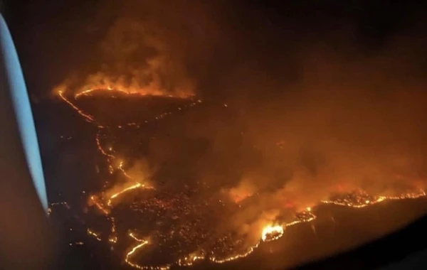 Havay adalarında yanğın davam edir - 67 ölü, yüzlərlə itkin var - FOTO