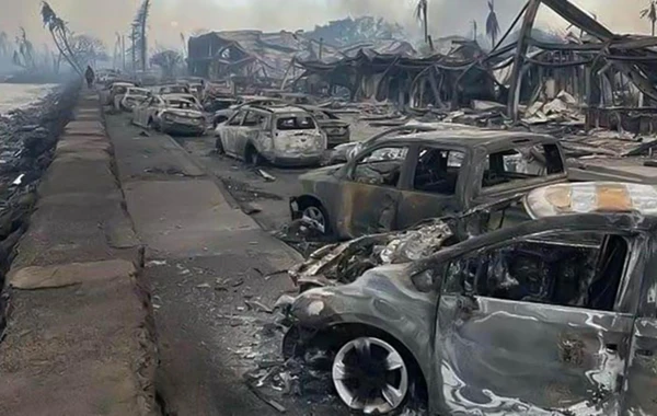 Havay adalarında yanğın davam edir - 67 ölü, yüzlərlə itkin var - FOTO