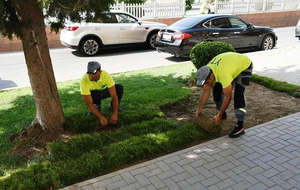 Bakıda növbəti iməclik keçirilib - FOTO
