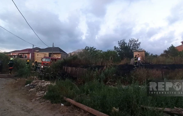 Sumqayıtın bu massivində yanğın oldu - FOTO