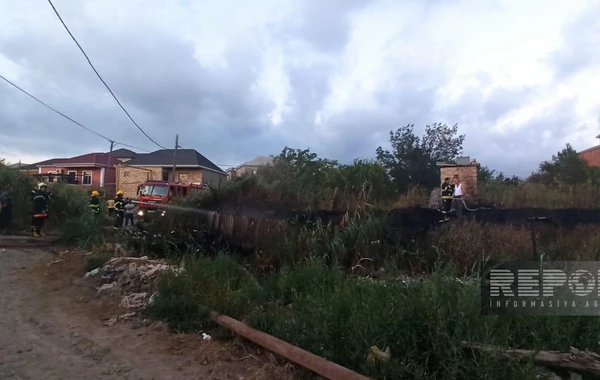 Sumqayıtın bu massivində yanğın oldu - FOTO