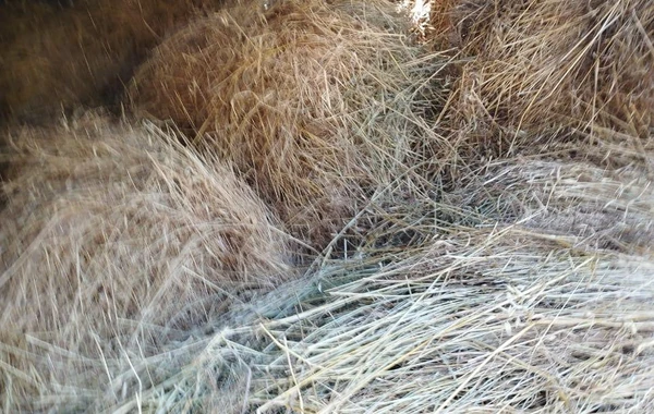 Xocavənddə improvizə olunmuş partlayıcı qurğular aşkarlanıb - FOTO