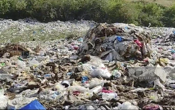 Qubada yaşayış massivi zibilliyə çevrilib, ərazini üfunət bürüyüb - FOTO