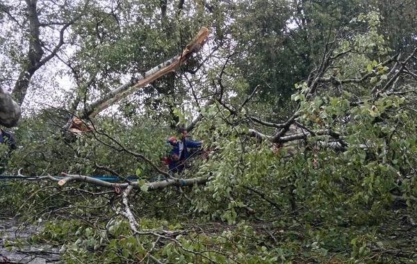 Yevlax-Zaqatala-Gürcüstan avtomobil yolunun bir hissəsindəki problem aradan qaldırılıb - FOTO