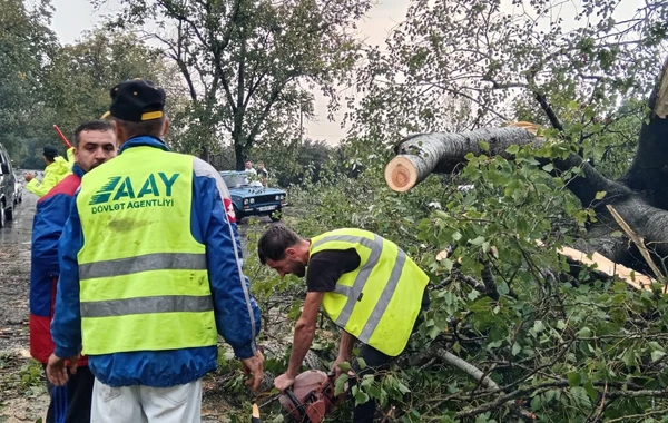 Yevlax-Zaqatala-Gürcüstan avtomobil yolunun bir hissəsindəki problem aradan qaldırılıb - FOTO