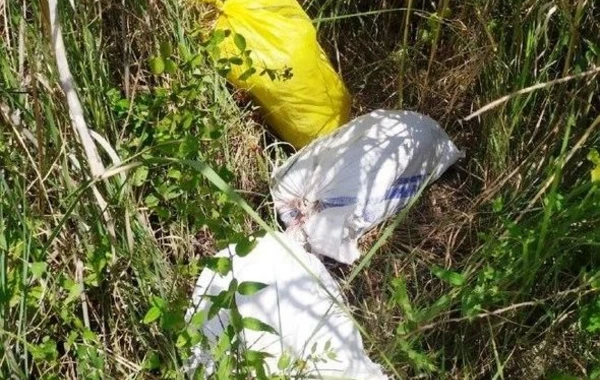 За нарушение границы Азербайджана были задержаны 53 иностранца, в том числе один гражданин Армении - ФОТО
