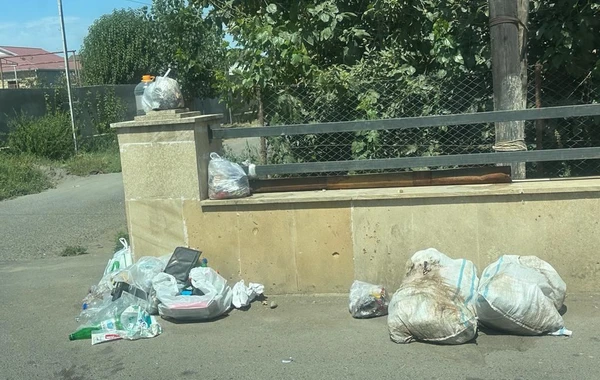 Ətraf mühiti zibilləyən şəxslər məsuliyyətə cəlb olunub - FOTO