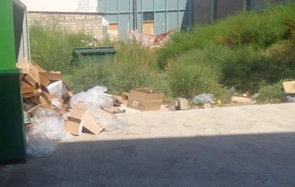 Ətraf mühiti zibilləyən şəxslər məsuliyyətə cəlb olunub - FOTO