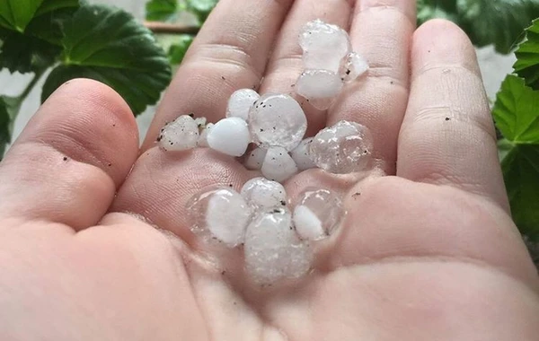 Ölkə ərazisində müşahidə edilən FAKTİKİ HAVA