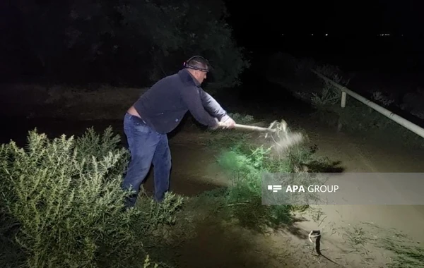 Goranboya güclü yağışdan sonra sel gəlib - FOTO