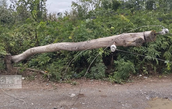 Güclü külək və yağış Xaçmaza ziyan vurub, kəndlər işıqsız qalıb