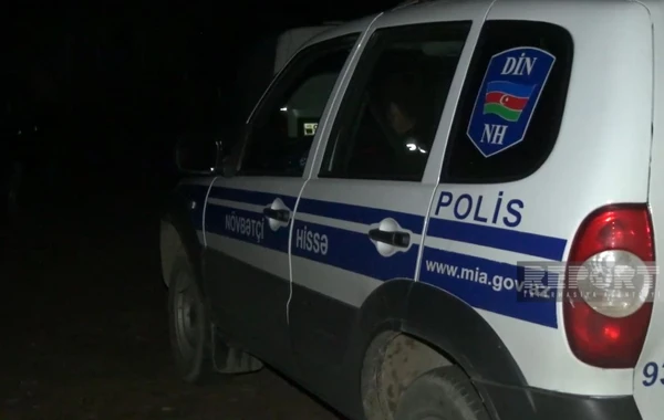 3 baş atı kəsərək ətini Bakıda satmaq istəyən Biləsuvar sakini saxlanılıb - FOTO
