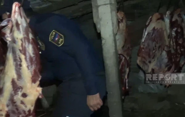 3 baş atı kəsərək ətini Bakıda satmaq istəyən Biləsuvar sakini saxlanılıb - FOTO
