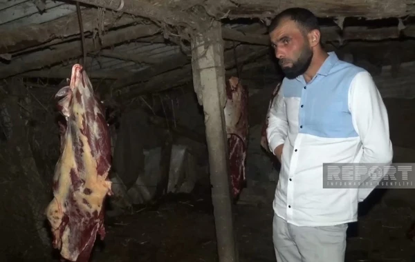 3 baş atı kəsərək ətini Bakıda satmaq istəyən Biləsuvar sakini saxlanılıb - FOTO