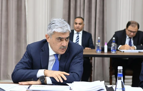İqtisadi Şuranın növbəti iclası keçirilib - FOTO