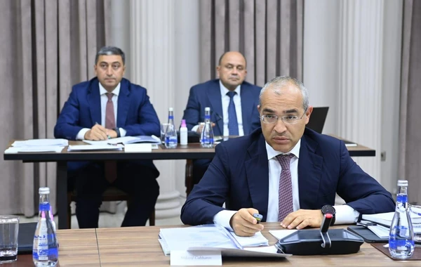 İqtisadi Şuranın növbəti iclası keçirilib - FOTO
