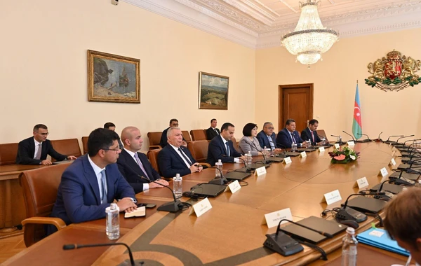 Milli Məclisin sədri Bolqarıstanın Baş naziri ilə görüşüb - FOTO