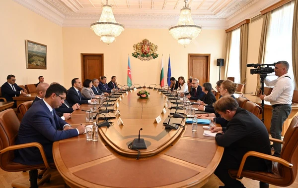 Milli Məclisin sədri Bolqarıstanın Baş naziri ilə görüşüb - FOTO