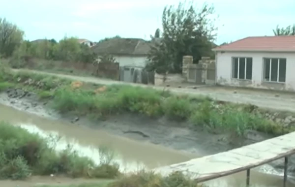 Azərbaycanda yeni doğulmuş körpə yol kənarına atıldı - TƏFƏRRÜAT - VİDEO