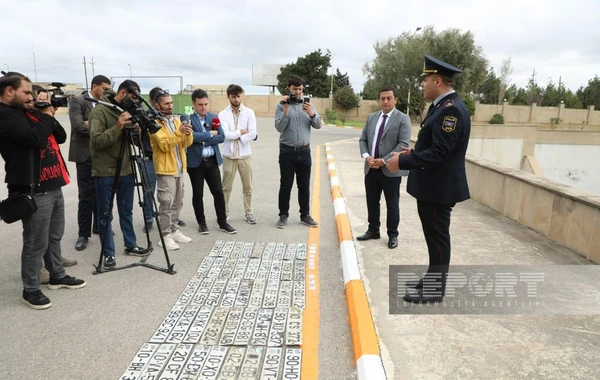 Bakıda tullantıların arasından 8-i əcnəbilərə məxsus olmaqla 57 avtomobil nömrəsi tapılıb - FOTO