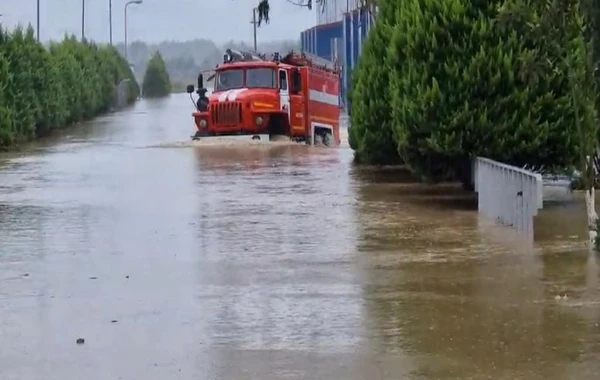 FHN: Astara və Lənkəranda su basan ərazilərdə tədbirlər davam etdirilir- VİDEO